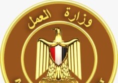 وزارة العمل 