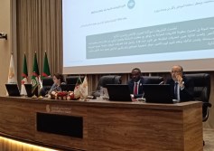 مصر تعرض تجربتها في تعزيز مرونة المدن أمام 17 دولة عربية خلال اجتماع البرنامج العربي بالجزائر