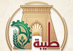 جهاز تنمية مدينة طيبة الجديدة 