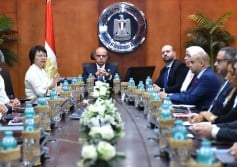 وزير الاستثمار
