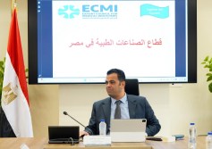 التنمية الصناعية 