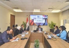 تنمية الصناعة 