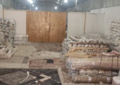حملات ميدانية