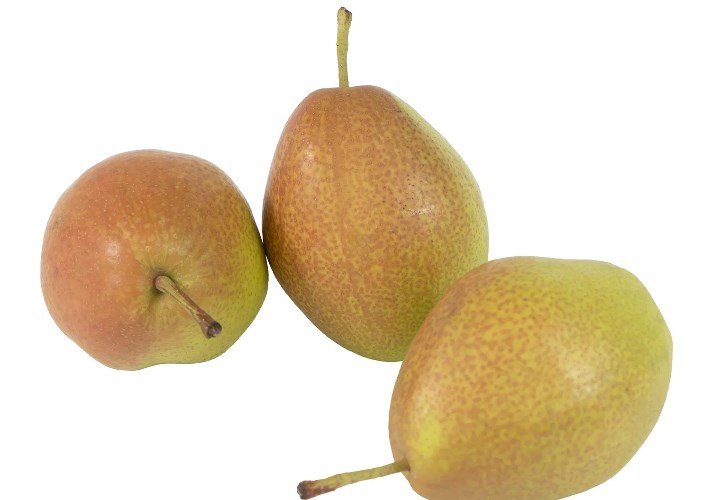 الكمثرى الكورية 