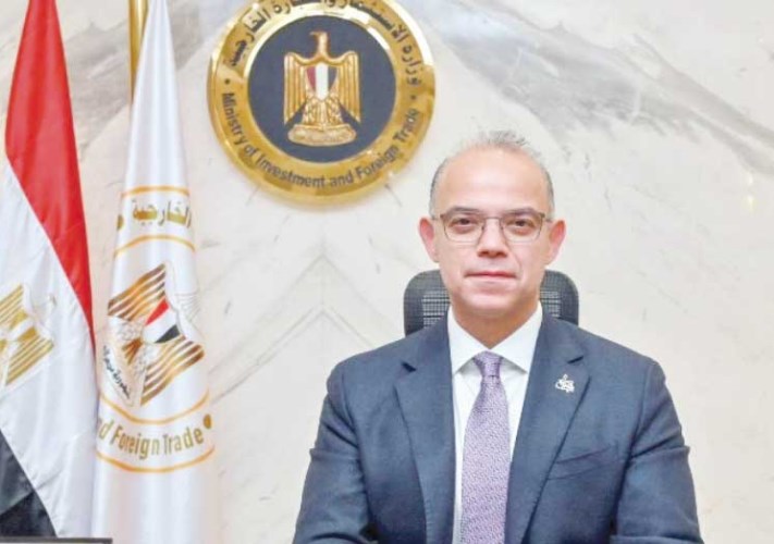 محمد فريد وزير الاستثمار 
