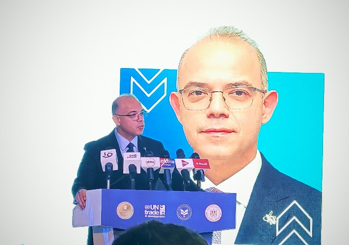 وزير الاستثمار