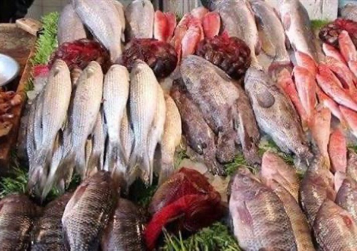 قطاع الأسماك 