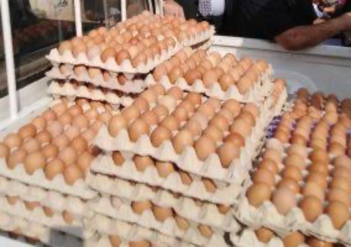 أسعار البيض 