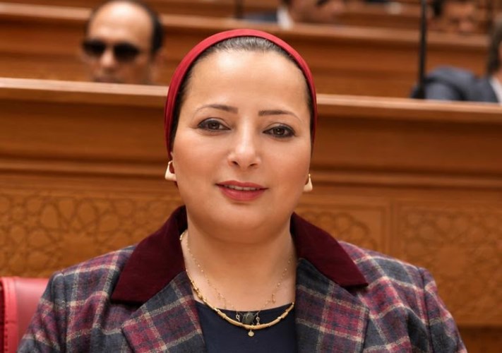 النائبة مروة حسان 