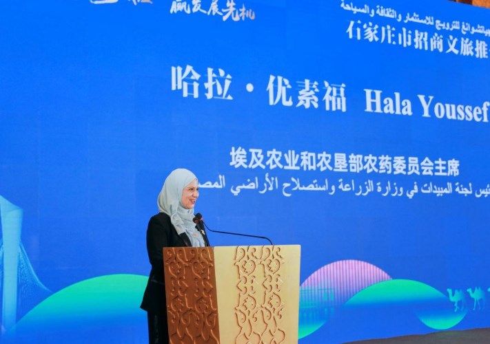 د هالة أبو يوسف تتحدث في الفاعلية