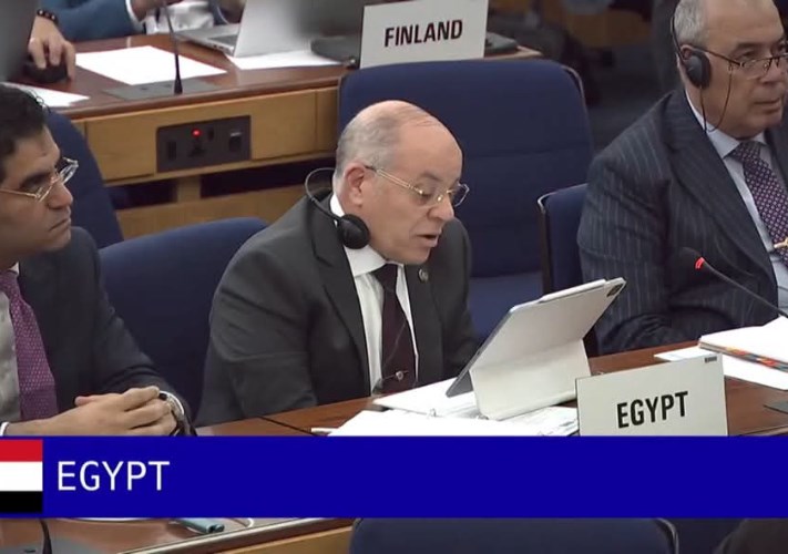 المنظمة البحرية الدولية